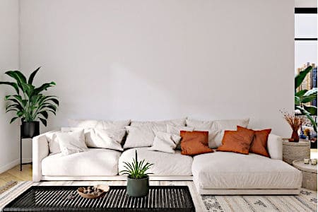 Image of luxurious sofa with newly replaced cushions