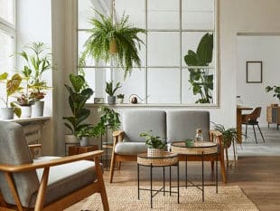 Grey Chair and White Couch with Plants